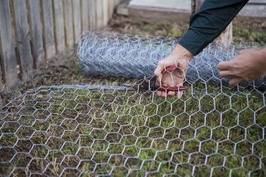 can you use chicken wire for dog fence