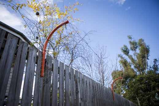 How to keep a 2024 dog from climbing fence